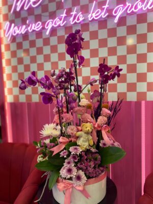 6 Dallı Orkide Aranjmanı